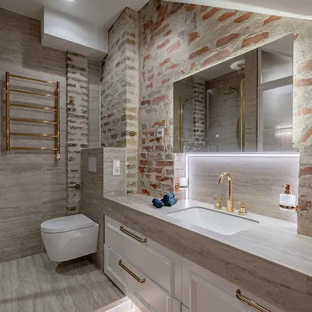 Luxury In Old Town And Parking 公寓 *