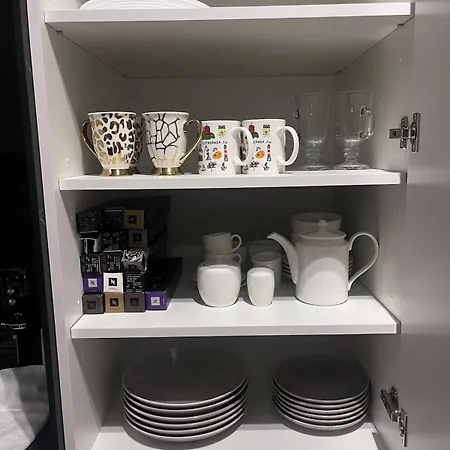 Luxury In Old Town And Parking 维尔纽斯