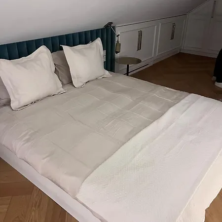 Luxury In Old Town And Parking 公寓 维尔纽斯