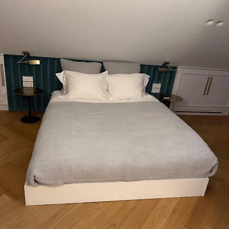 Luxury In Old Town And Parking * 维尔纽斯