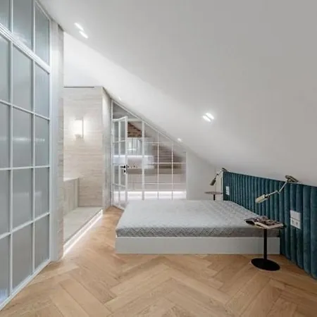 Luxury In Old Town And Parking 维尔纽斯