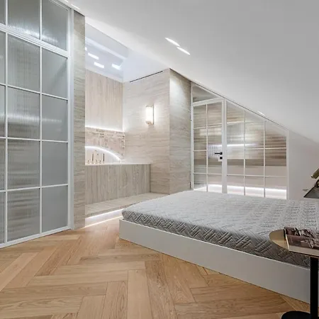 公寓 Luxury In Old Town And Parking 维尔纽斯