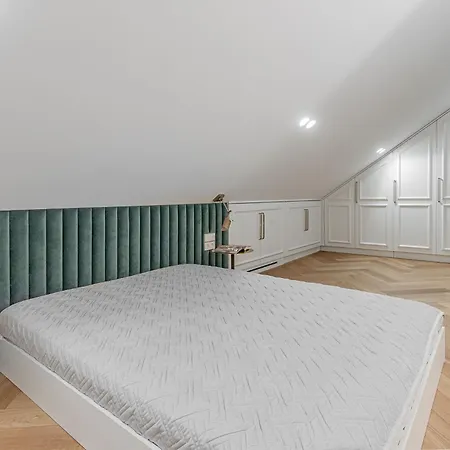 Luxury In Old Town And Parking 公寓 *