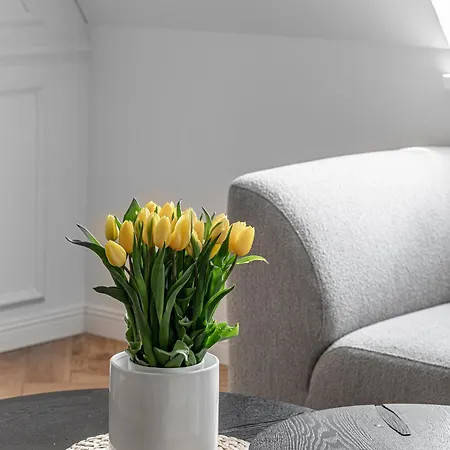 Luxury In Old Town And Parking