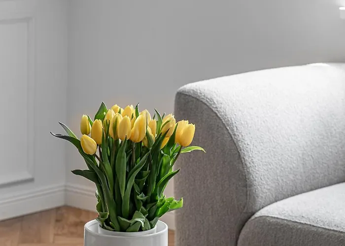 Luxury In Old Town And Parking